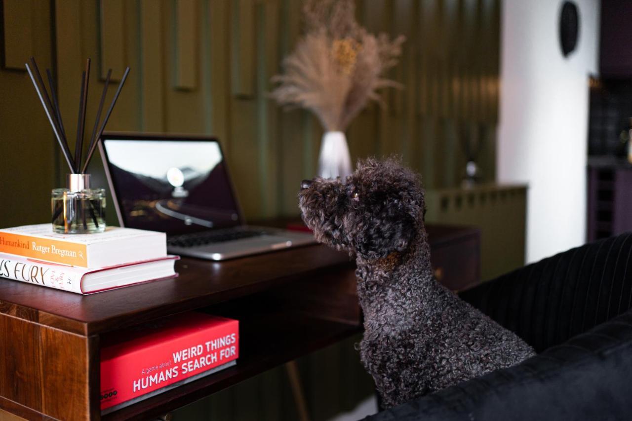 The Arran Suite - Your Stylish Scottish Getaway! グラスゴー エクステリア 写真